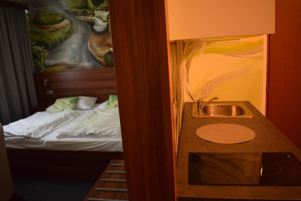 Lipno-apartman D110 Frymburk